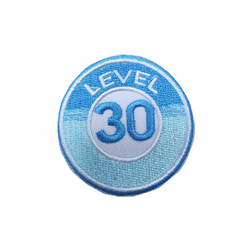 Level 30 Badge